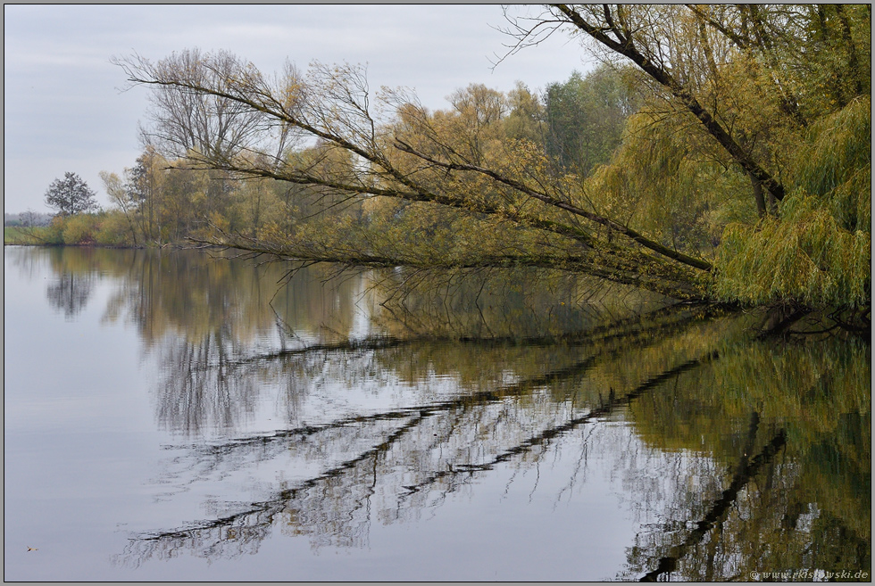 Weichholzauen... Bislicher Insel *Nordrhein-Westfalen*