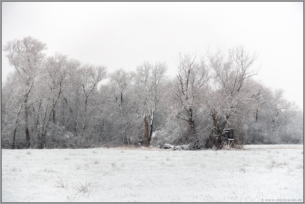 Winterlandschaft am Niederrhein... Ilvericher Altrheinschlinge *Meerbusch* bei starkem Schneefall