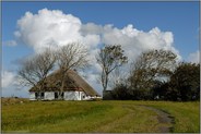 altes rietgedecktes Bauernhaus... Texel *Niederlande*